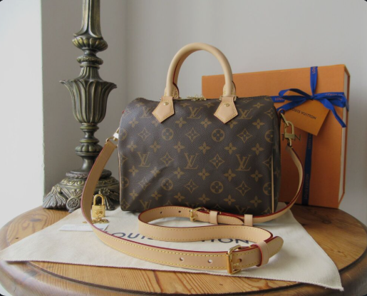Louis Vuitton Speedy Bandoulière 25. Licensed photograph, not an official campaign image.