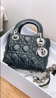 Dior Lady Dior Mini. Licensed photograph, not an official campaign image.