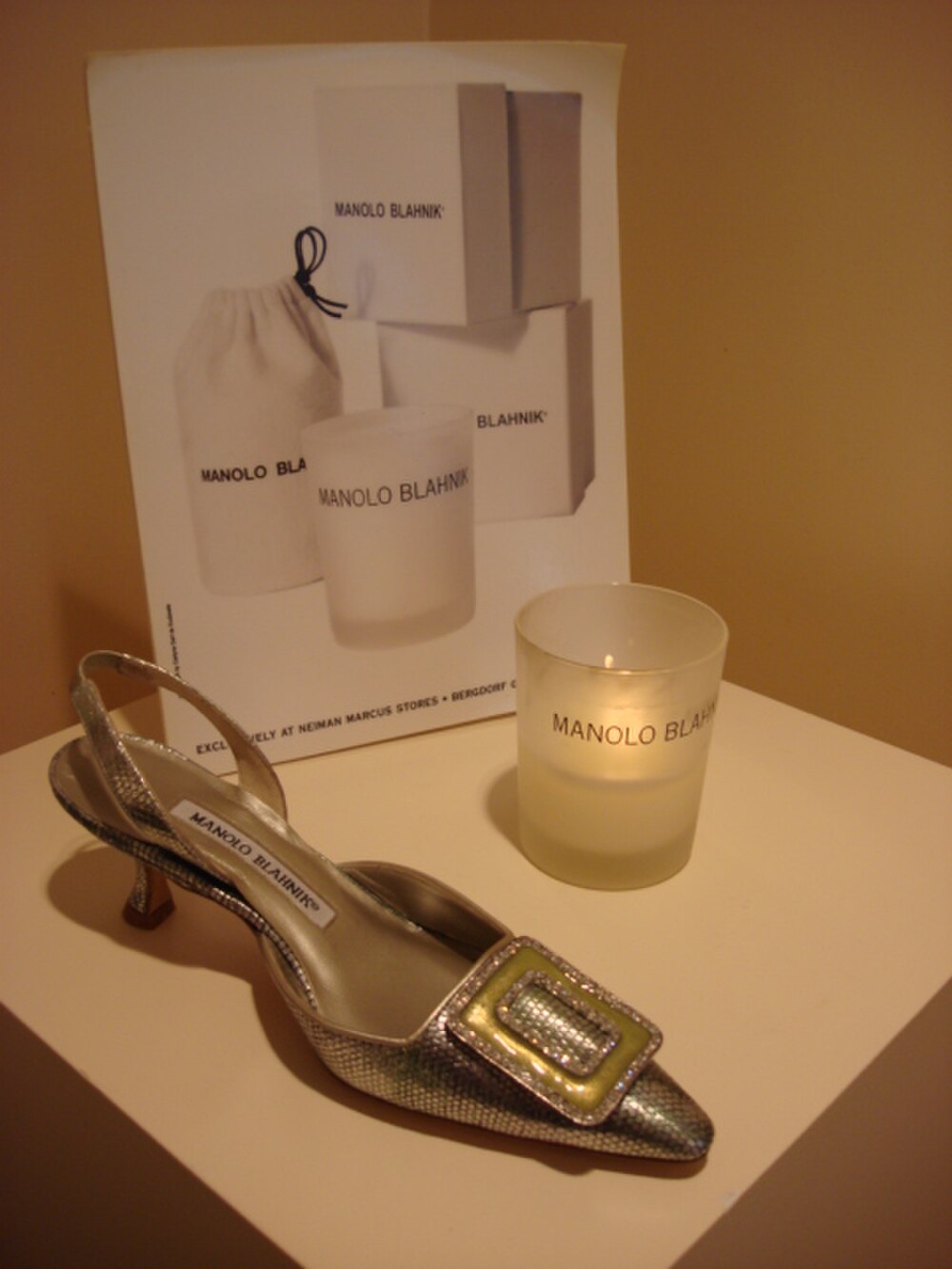 Manolo Blahnik Hangisi Slingback. Licensed photograph, not an official campaign image.