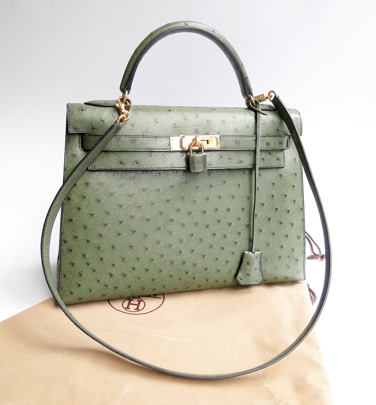 Hermès Kelly 25. Licensed photograph, not an official campaign image.